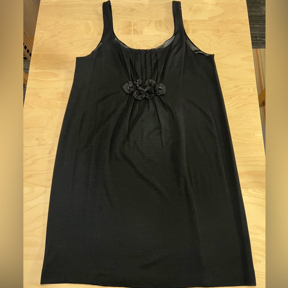 JCrew dress.